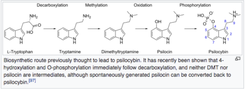 File:Previous biosynthetic route.png