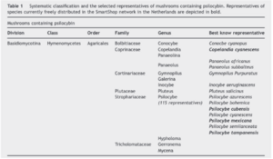 Systematic Classification.png